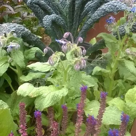 ホテル Hortus Conclusus